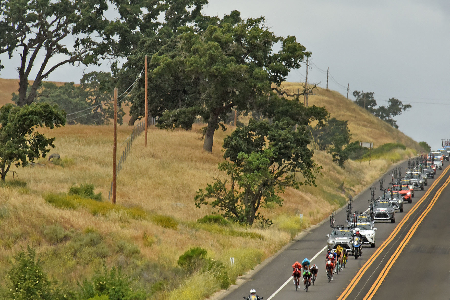051619 Amgen in SY 01.jpg